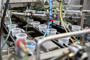 Seaweed salad on a conveyor belt. Automatic line for packing seafood