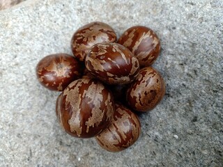 seeds from the fruit of the rubber tree