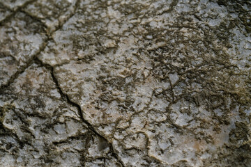 Background with the texture of natural stone.