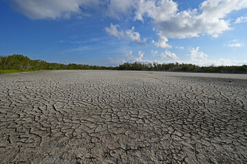 Dry exposed bed of Eco Pond under severe drought conditions in Evrerglades National Park, Florida.
