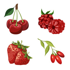 Set of red berries, strawberries, cherries, goji, raspberries. Bright and juicy vector illustrations of realistic berries