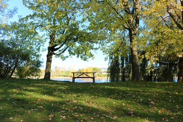 Obraz na płótnie Canvas bench in the park