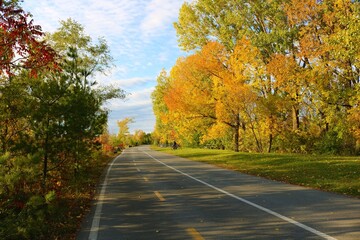 Fototapeta premium road in autumn