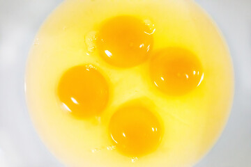 Raw eggs on white background.