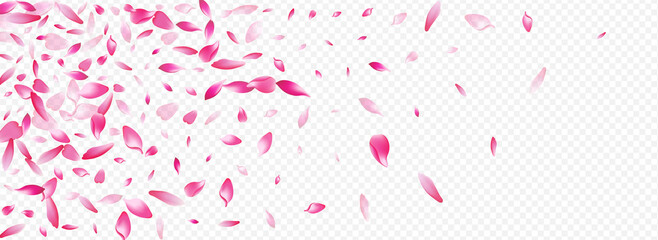 White Cherry Vector Panoramic Transparent