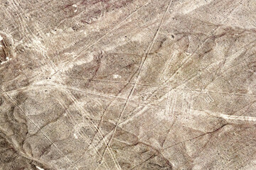 Peru, Palpa Province. The Nazca Lines (UNESCO World Heritage Sites) at Nazca Desert. The Dog geoglyph