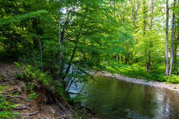 Fototapeta na wymiar Pigeon River in GHreat Smoky Mountains National Park
