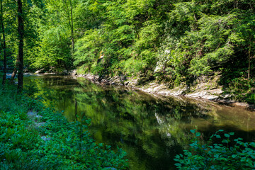 Fototapeta na wymiar Pigeon River in The Great Smoky Mountains