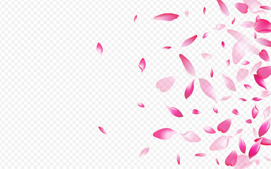 White Blooming Vector Transparent Background.