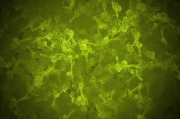 abstract colorful green emirald olive background bg