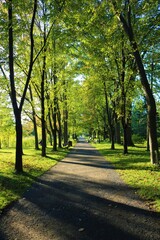 alley in the park