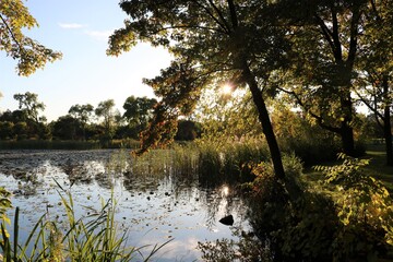 lake in autumn
