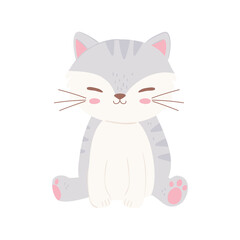 cute little cat