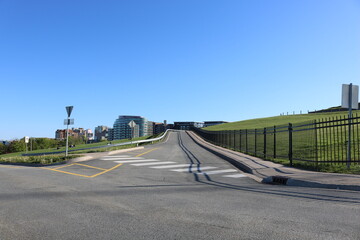 Naklejka premium bridge in the park
