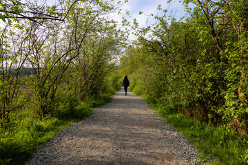 Woman Walking on a Path with green trees in Shoreline Trail, Port Moody, Greater Vancouver, British Columbia, Canada. Trail in a Modern City during a Sunny Evening.