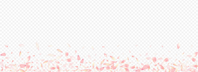 White Blooming Vector Panoramic Transparent