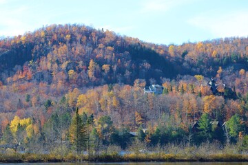 autumn in the mountains