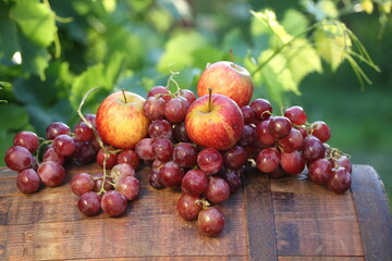 Red grapes with apples on a barrel in a vineyard