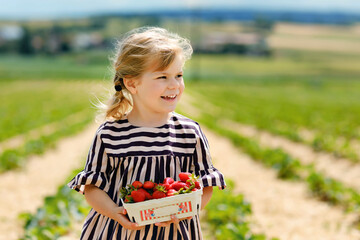 Portrait of happy little toddler girl picking and eating healthy strawberries on organic berry farm in summer, on sunny day. Smiling child. Kid on strawberry plantation field, ripe red berries.