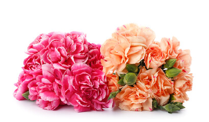 Beautiful carnation flowers on white background