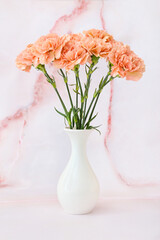 Vase with beautiful carnation flowers on light background
