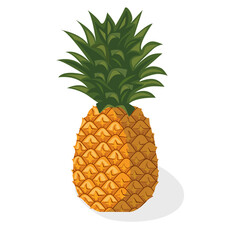 Tropical fruit pineapple. Useful organic natural fruit. Diet Menu. Can use as symbol, icon, package, packaging. Vector illustration.