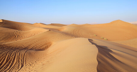 Fototapeta na wymiar Morning landscape of sandy desert