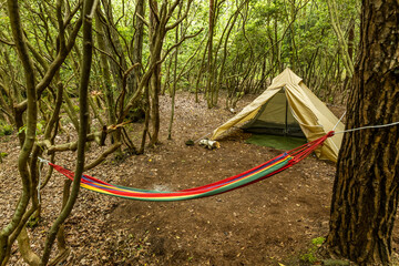 森でキャンプ　Camping in the early summer forest 