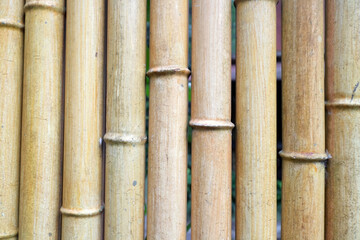 yellow artificial bamboo that serves as a fence