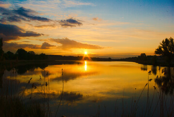 sunset elephant by the lake