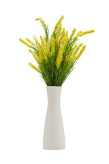Subject shot of white ceramic vase with bunch of yellow sage flowers. Bouquet of plant for interior decorating is isolated on the white background. 