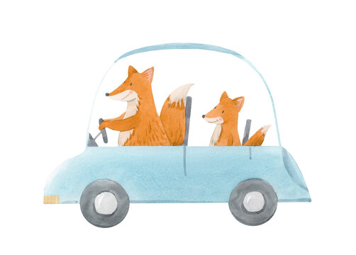 Beautiful Stock Baby Illustration With Cute Hand Drawn Watercolor Little Animal Driver In A Car.