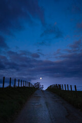 Moon at end of road