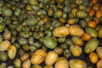 Healthy food original mango fruit