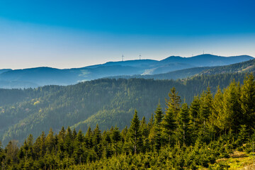 Germany, View above intense green schwarzwald nature landscape, perfect for hiking and holiday, endless mountains and valleys