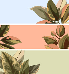 templates for web banner with abstract natural, botanical pattern. Large leaves green and pink. Minimal floral, Plant design for print, internet site of cosmetic product, beauty salon and spa.