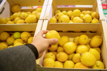man hands taking lemon in groceries store