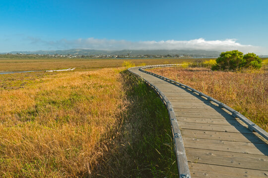 Wooden Boardwalk In A Flat Area, Made Cross Fragile And Vegetation. Morro Bay Peninsula Hiking Trail, California Central Coast