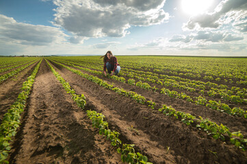 A young female farmer in a soybean field