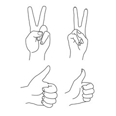 Hands of woman and man show gestures piece and thumb up. Sign of victory and like. Vector contour illustration. Line art