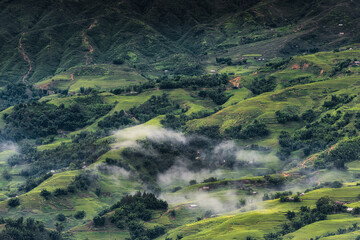 Landscaped Scenery View of Agriculture Rice Fields, Nature Landscape of Rice Terrace Field at Sapa, Vietnam. Panorama Countryside Valley Scenic With Mountain of Agricultural Farmland Background.