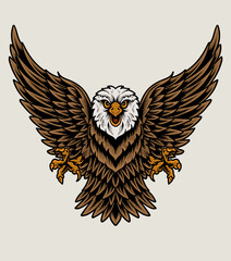 illustration eagle bird on white background
