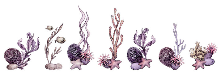 Watercolor Under the Sea Compositions Clipart, Sea life art, Ocean Bottom Bouquets, Underwater © Анна Пигусова