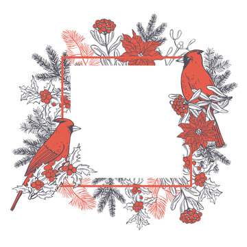 Vector frame with red cardinals.