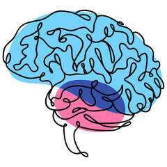 Continuous line drawing of a human brain with gyri and sulci, multipurpose single line concept or icon