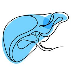 Naklejka premium Sketch Ink Human liver, hand drawn, doodle style, Engraved Anatomical illustration