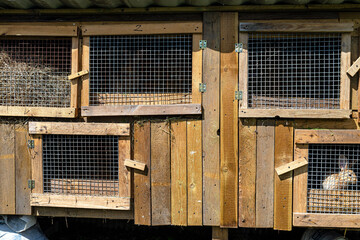 Wooden cage with a metal net on the door for breeding rabbits, standing in the countryside.