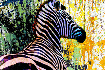 colorful artistic zebra muzzle with bright paint splatters on dark background.