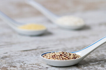 Porcelain spoons containing different types of grain