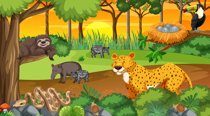 Nature forest at sunset time scene wtih wild animals